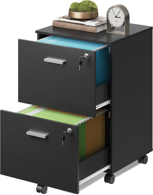 DEVAISE 2 Drawer Wood File Cabinet with Lock, Mobile Printer Stand, Black